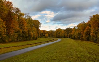 Картинка Природа,  Осень,  Листья,  Лес,  Деревья,  Велосипедная дорожка