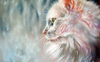 Картинка живопись, окно, профиль, мордочка, дождь, кошка, белая, ушки, взгляд
