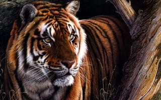 Картинка тигр, бенгальский тигр, полосатый, дикие кошки, дикий, кошки, большие кошки, большая кошка, хищник, животные, арт, рисунок