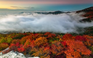 Картинка осень, осенние, время года, сезоны, сезонные, лес, деревья, дерево, природа, гора, облачно, облачный, облака, туман, дымка