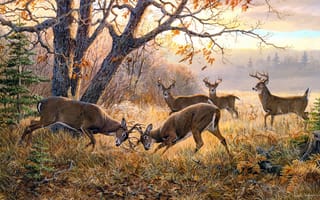 Картинка Persis Clayton Weirs, осень, ситуация, пасмурно, животные, поединок, живопись, олени, The Dream Team One on One