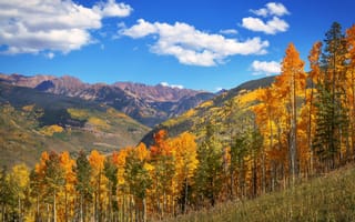 Картинка Colorado, USA, осень, осенние, время года, сезоны, сезонные, лес, деревья, дерево, природа, облака, туча, облако, тучи, небо