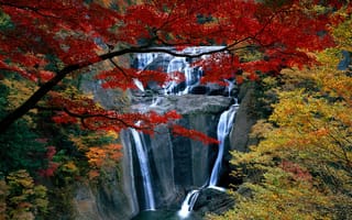 Картинка Водопад, деревья, осень, лес