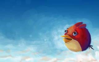 Картинка арт, полет, Angry Bird, птица, небо