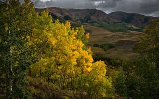 Картинка США, деревья, Колорадо, склон, горы, осень, краски, тучи, листья