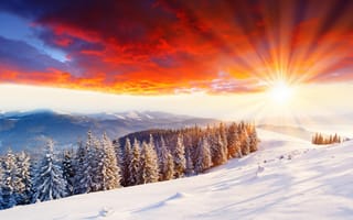 Картинка зимние пейзажи, снег, свет, мороз, деревья, солнце, дерево, природа, вьюга, утро, снегопад, лучи, холод, зима