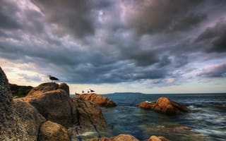 Картинка Море, камни, вода, облака, птицы, небо, бухта, чайки