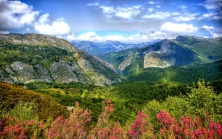 Картинка Испания, Asturias, горы, ущелье, обработка, Caleao, долина, леса