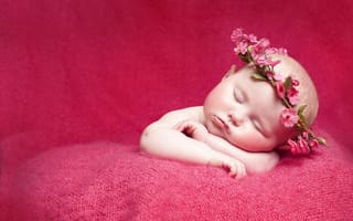 Картинка Настроения, цветы, Маленькая девочка, новорожденный, младенец, ребенок, сон