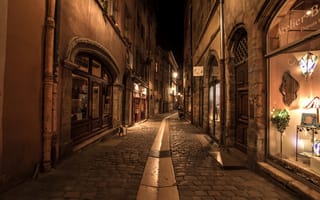 Картинка Франция, витрины, Lyon, переулок, ночь, улица, огни, дома