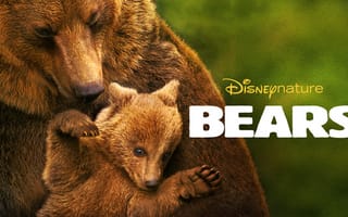 Картинка Медведи, Bears, документальный, Disneynature