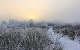 Картинка зима, поле, туман, утро