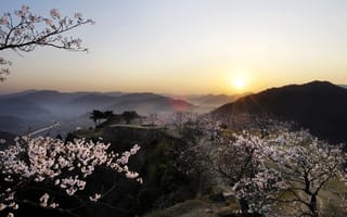 Картинка Nature, Цветут, Japan, Сакуры, Япония, Sakura, Красиво, Обоя, Горы, Beautiful, Природа