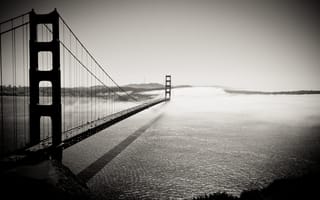 Картинка мост, калифорния, ч/б, Into the Fog, golden gate bridge