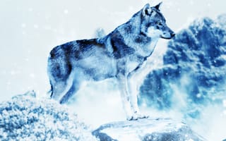 Картинка волк, фотошоп, хищник