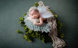 Картинка новорожденный, малышка, 5к, зеленые листья, фотосессия, портрет, ангел, Милый ребенок, спящий ребенок