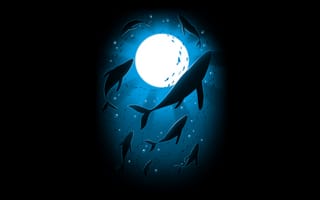 Картинка лунный свет, под водой, плавание, ночь, пузырьки воды, киты, черный, 8k, 5к
