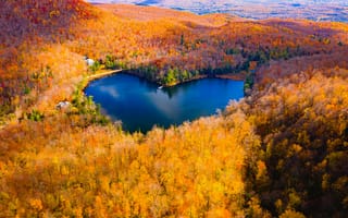 Картинка озеро в форме сердца, осенний лес, осенние краски, 5к, эстетический