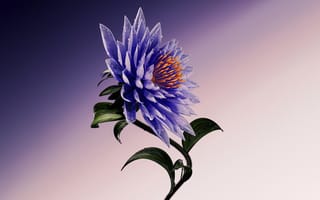 Картинка фиолетовый цветок, художественный, 5 тыс., темно-синий, цифровое искусство