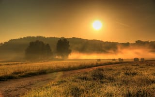 Картинка Поле, солнце, Восход, природа, Германия, туман