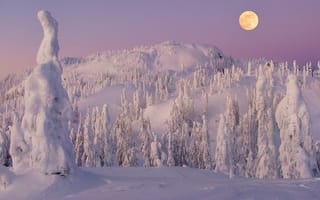 Картинка canada, british columbia, pastel winter - mount seymour provincial park, vancouver