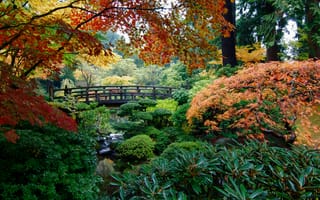 Картинка деревья, японский сад, портленд, мост, пейзаж