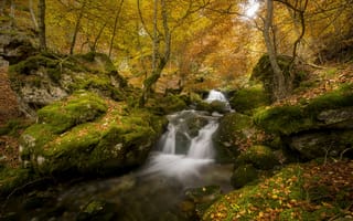 Картинка пейзаж, природа, paints of autumn, осенний водопад, осень, осенние листья, камни, лес, мох, водопад, река, деревья