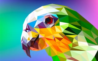 Картинка попугай, аспекты, птицы, рендеринг