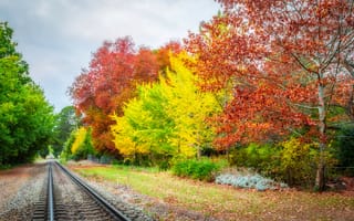 Картинка осень, железная дорога, осенние листья, пейзаж, краски осени, деревья