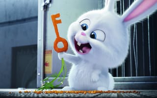 Картинка кролик, Тайная жизнь домашних животных, фильмы, мультфильмы