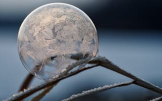 Картинка замороженный пузырь, пузырь, холодный, фотографии, лед, лист, разное, ветвь, кристалл, макросъёмка, крупным планом