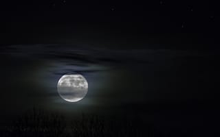 Картинка лунный свет, свет, астрономический объект, атмосфера, космос, ночью, пейзажи, мистический, луна, темнота, небо, космическое пространство, жуткий, страшно, странный, атмосфера земли, вечер, полнолуние, полночь, пыльник, мрачный, ночь, астрономия, ночная фотография, отражение, ночное небо