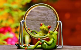 Картинка зеркальное отображение, цветок, сладкая, зеркало, юмор, желтый, макросъёмка, зелёный, амфибия, животные, цвет, лягушка, инжир, зеркальный вид, весело, милая, смешно