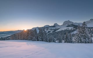 Картинка зима, закат, деревья, пейзаж, горы, Швейцария
