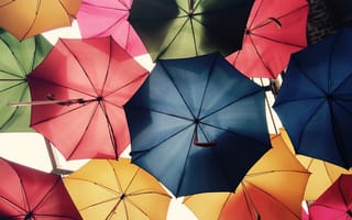 Картинка дождь, искусство, небо, цветок, настроение, крышка, форма, приют, круг, красочный, зонтики, заголовок, модный аксессуар, лепесток, цвет, колесо, симметрии, зонтик
