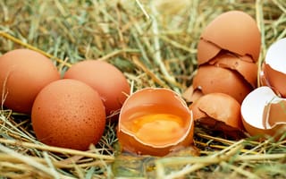 Картинка еда, сырые яйца, яйцо, яичная скорлупа, куриные яйца, желток яйца