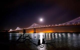 Картинка вода, ветвь, кошка, атмосферных, рассвет, лунный свет, мост, утро, hdr, ориентир, настроение, луна, силуэт, вечер, сумрак, исторические, городской пейзаж, эстакадный мост, свет, окленд, любовь, Сан-Франциско, порт, прекрасная, темнота, архитектура, сердце, город, тьма, отражение, ночь, отражения, романтический