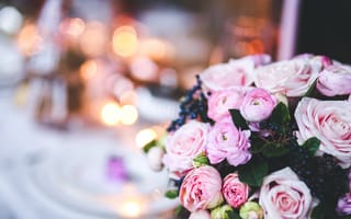 Картинка размытый, растение, центральная часть, крупным планом, розовый, цветок, флористика, свадебные, цветы, организация цветов, церемонии, букет, лепесток, букет цветов