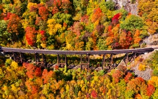 Картинка осень, деревья, север, пейзаж, узор, зелёный, железной дороги, красный, живописный, вверх, аэрофотосъемка, дрон, путешествия, вид, мост, природа, листва, красочный, оранжевый, текстура, абстракция, летать, падение, пейзажи, лес