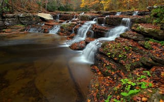 Картинка Camp Creek State Park, осень, водопад, West Virginia