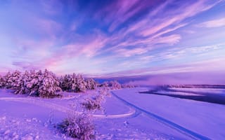Картинка закат, снег, деревья, зима