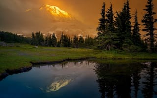 Картинка Mount Rainier National Park, Альпийский луг, Washington, закат