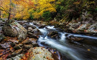 Картинка Smoky Mountains National Park, осень, Грейт Смоки Маунтинс Парк, штат Теннесси