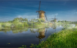 Картинка голландские ветряные мельницы, растения, Нидерланды, природа, утро, туман, трава, канал, пейзаж, Роттердам