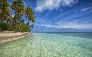 Картинка остров, пальмы, пляж, пейзаж, волны, небо, море, песок, Тринидад, Tobago, Атлантический океан, Тобаго