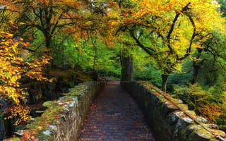 Картинка Шотландия - Осенние цвета