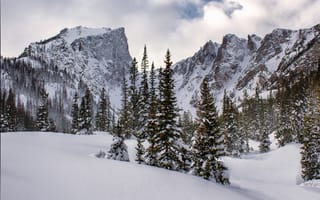 Картинка Снежные вершины скалистых гор