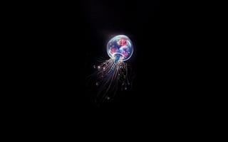 Картинка медузы, исполнитель, минимализм