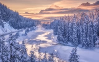 Картинка зима, лес, Banff National Park, Альберта, река, Alberta, горы, Канада