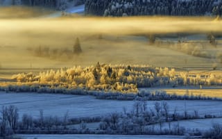 Картинка зима, свет, туман, утро